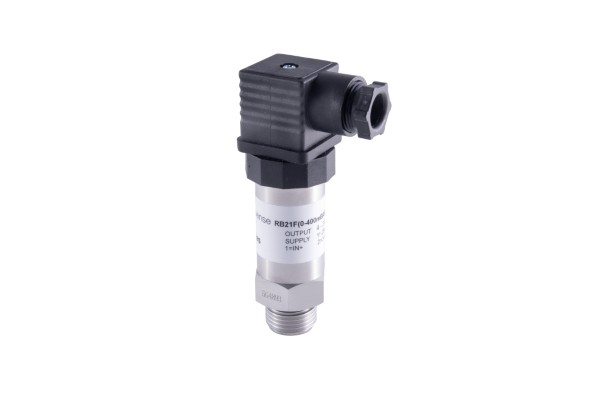 RB21F Flush Diaphragm Pressure Transmitter